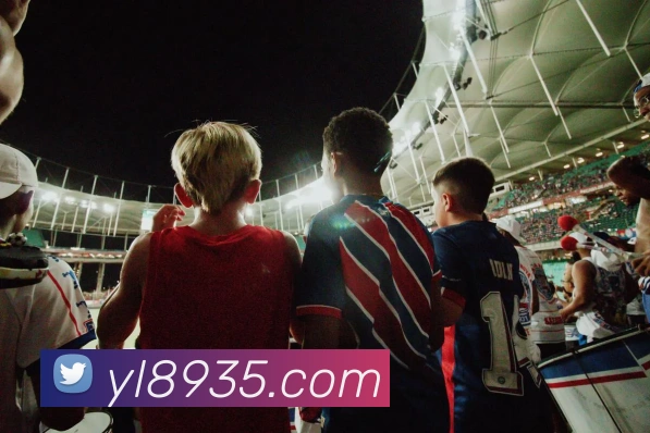 未来规划